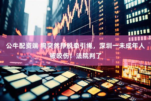 公牛配资端 狗突然挣脱牵引绳，深圳一未成年人被咬伤！法院判了