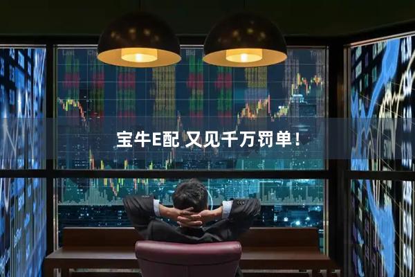 宝牛E配 又见千万罚单！