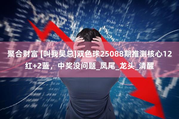 聚合财富 [叫我吴总]双色球25088期推测核心12红+2蓝，中奖没问题_凤尾_龙头_清醒