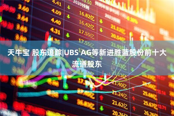 天牛宝 股东追踪|UBS AG等新进胜蓝股份前十大流通股东